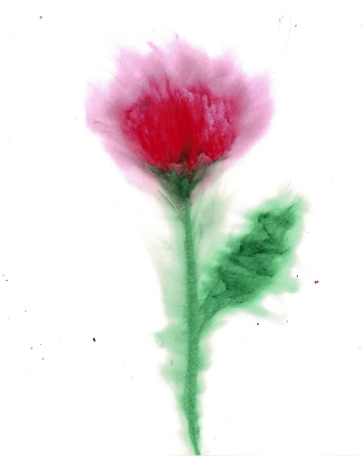 Scan2024-09-26_225449