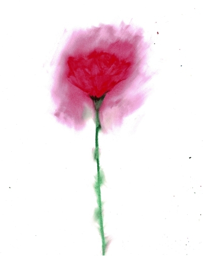 Scan2024-09-26_225827