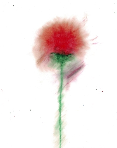 Scan2024-09-26_230256