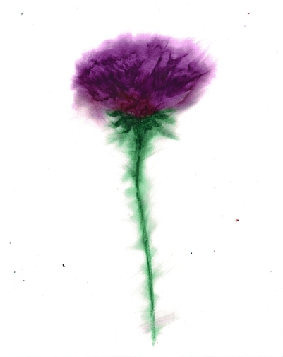 Scan2024-09-26_230450