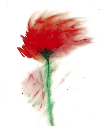 Scan2024-09-26_230931