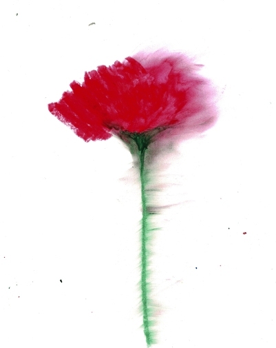 Scan2024-09-26_231545