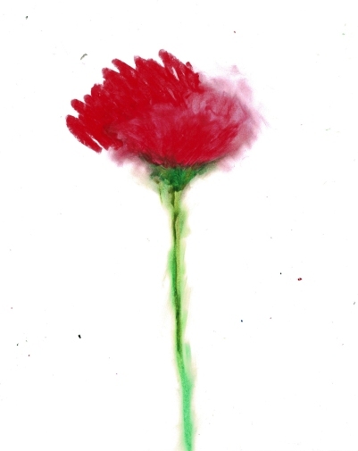 Scan2024-09-26_231732